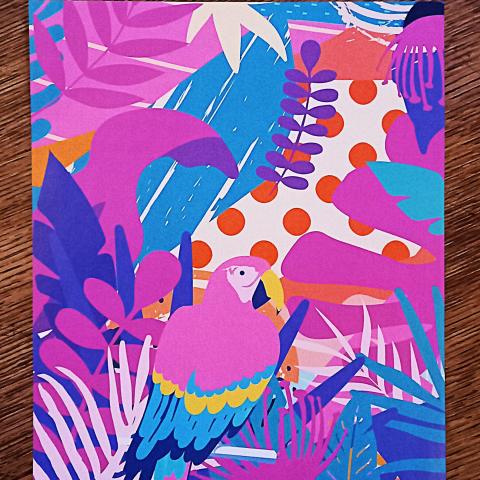 troc de  Papier créatif "Perroquet"., sur mytroc