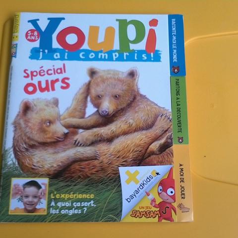 troc de  Youpi n°260 : Spécial ours, sur mytroc