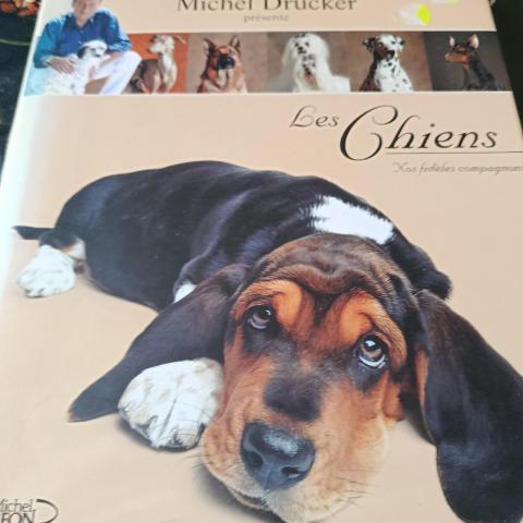 troc de  Livre sur les chien, sur mytroc