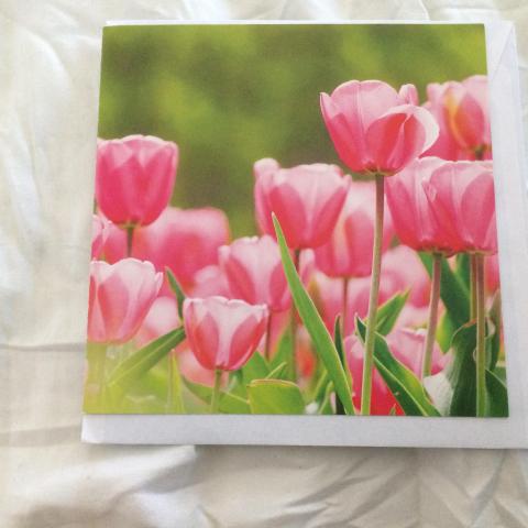 troc de  Carte carrée tulipes coloris rose & son enveloppe blanche, sur mytroc
