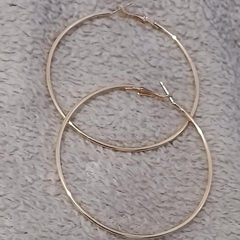 troc de  Une Paire De Boucle D Oreille, sur mytroc