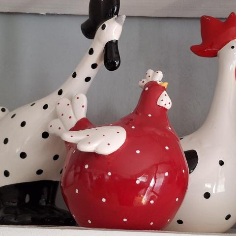 troc de  Poules AMADEUS, sur mytroc