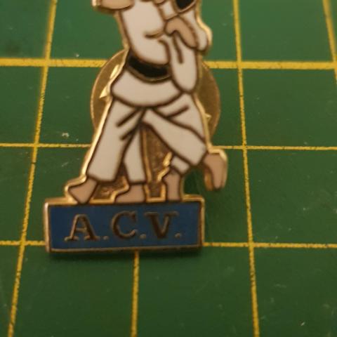 troc de  Pin s, sur mytroc