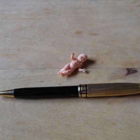 troc de  bébé miniature 2, sur mytroc