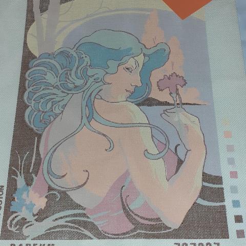 troc de  un canevas, sur mytroc