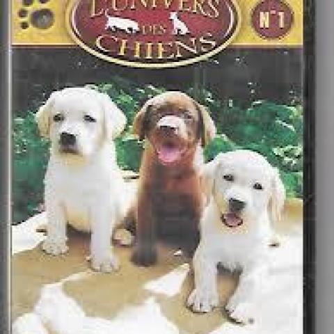 troc de  DVD - L'univers des chiens No 1, sur mytroc