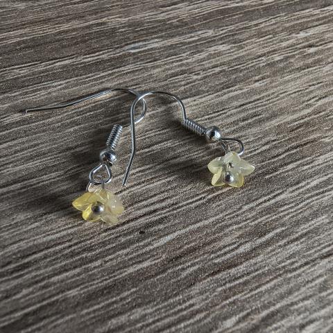 troc de  Boucles d'oreilles, sur mytroc