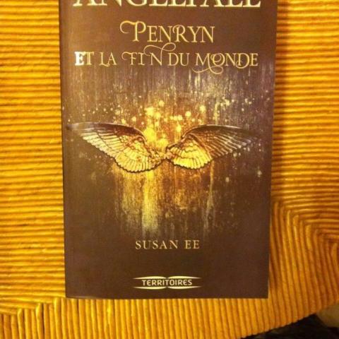 troc de  Livre neuf Angelfall - Peyrin et la fin du monde, sur mytroc