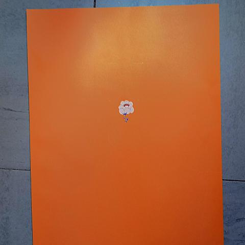 troc de  Papier créatif., sur mytroc