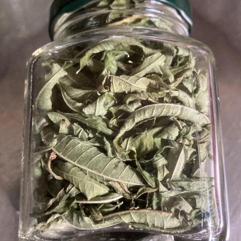 troc de  Verveine citron séchée pot 10 g, sur mytroc