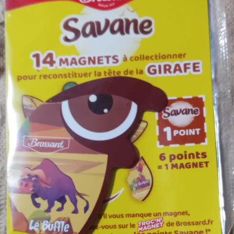 troc de  Magnet Savane Tête de girafe LE BUFFLE, sur mytroc