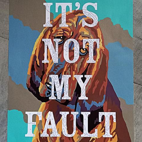 troc de  Affiche "It's not my fault"., sur mytroc