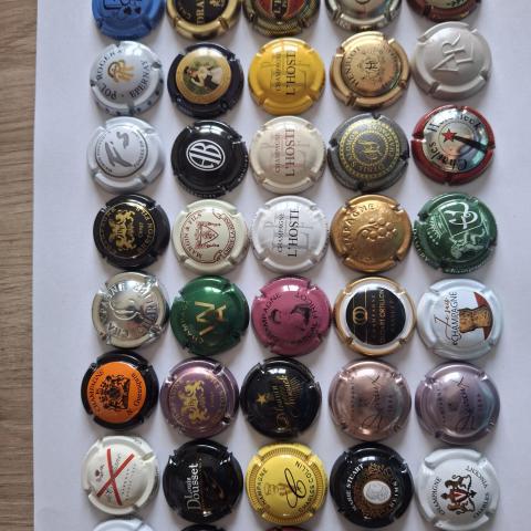 troc de  Capsule de champagne, sur mytroc
