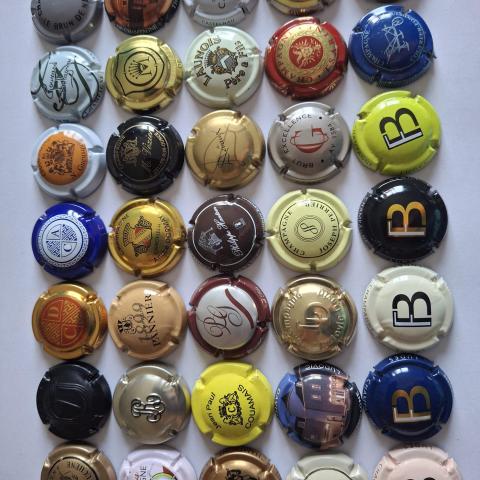 troc de  Capsule de champagne, sur mytroc