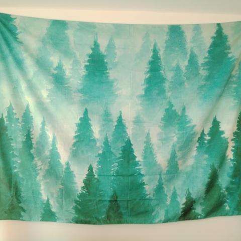 troc de  Tenture aquarelle, sur mytroc