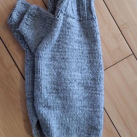 troc de  Manteau pour petit chien, sur mytroc