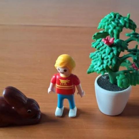 troc de  *reserve* Lot playmobil lapin enfant arbre, sur mytroc