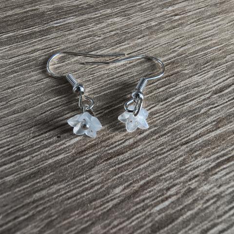 troc de  Boucles d'oreilles, sur mytroc
