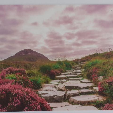 troc de  Cartes postales paysages, sur mytroc