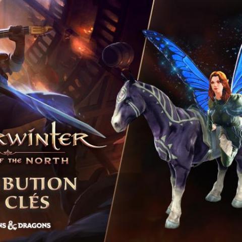 troc de  PS4 Pack Spirit esprit follet pour jeu Neverwinter : Jewel of the North, sur mytroc