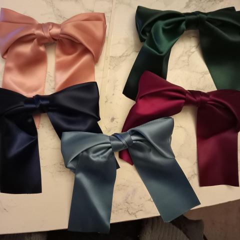 troc de  Lot 5 barrettes, sur mytroc