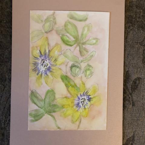 troc de  Aquarelle originale "Passiflores" visuel 9,8x14,8cm, sur mytroc
