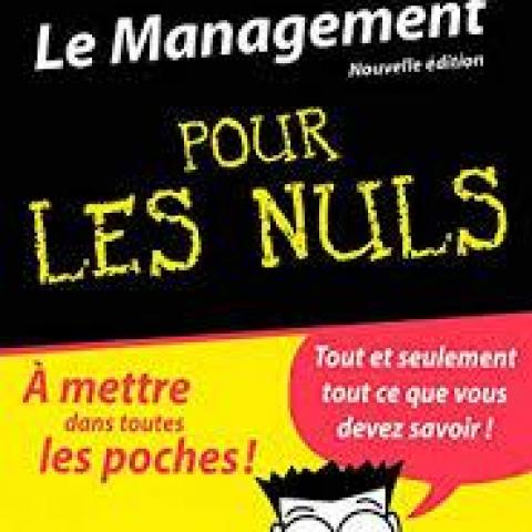 troc de  Livre - Le Management Pour LES NULS, sur mytroc