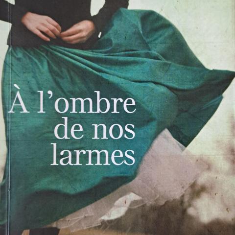 troc de  A l'ombre de nos larmes de Éric Le Nebour, sur mytroc