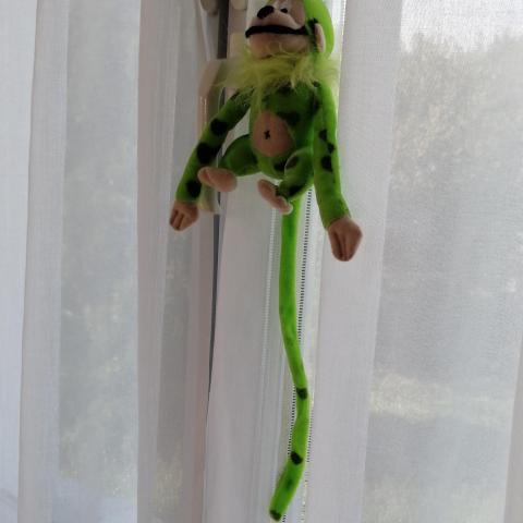 troc de  Petite peluche Marsupilami vert fluo, sur mytroc