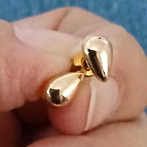 troc de  Une Paire De Boucle D Oreille, sur mytroc