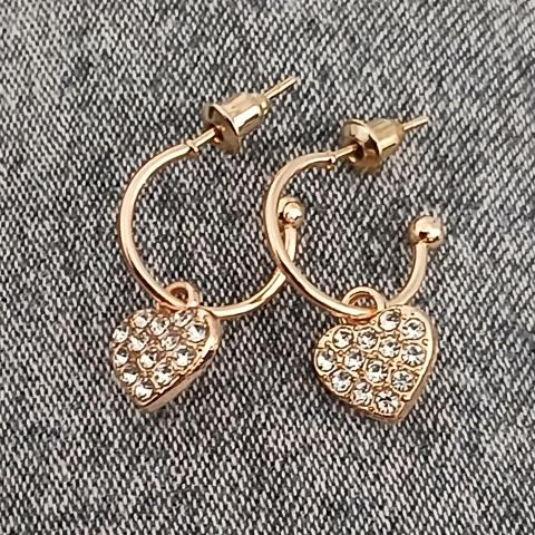 troc de  Une Paire De Boucle D Oreille, sur mytroc