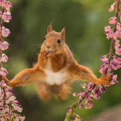 troc de  Rétrocession Gain Bingo St Sylvestre, sur mytroc