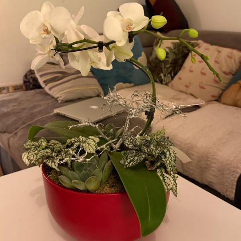 troc de  Grosse composition florale avec vrai orchidée, sur mytroc