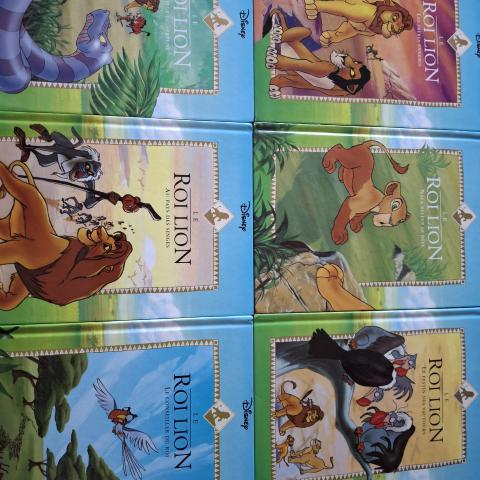 troc de  Lot 6 livres roi lion disney tomes 1 à 6, sur mytroc