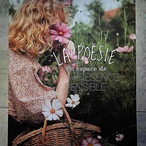 troc de  Affiche "La poésie"., sur mytroc