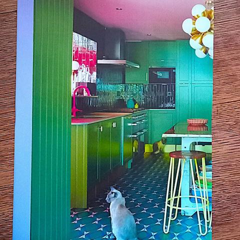 troc de  Affiche "Les chats"., sur mytroc