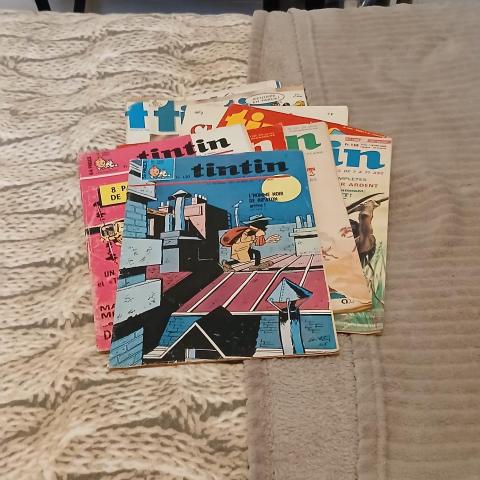 troc de  Reserver Diivers troc Lots De Bande Dessinée De Tintins, sur mytroc