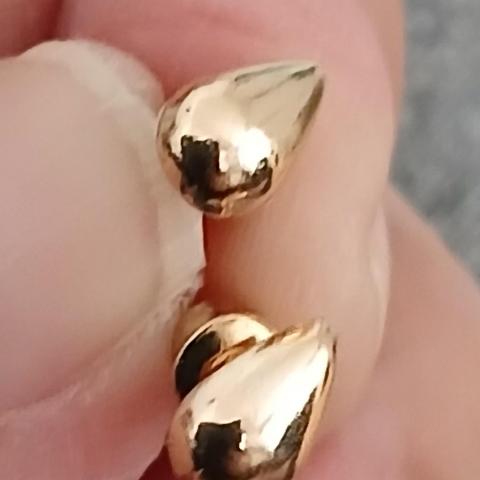 troc de  Une Paire De Boucle D Oreille, sur mytroc