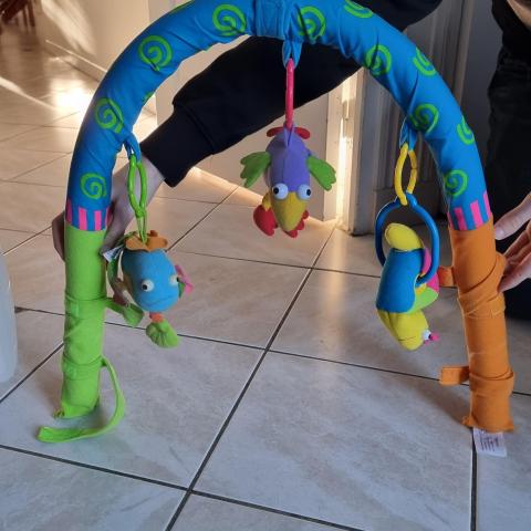 troc de  Arche d éveil tiny love, sur mytroc