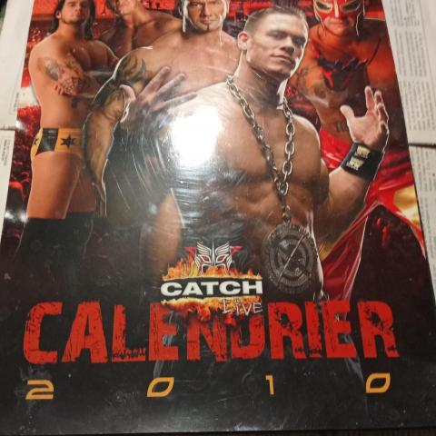 troc de  calendrier catch 2010, sur mytroc
