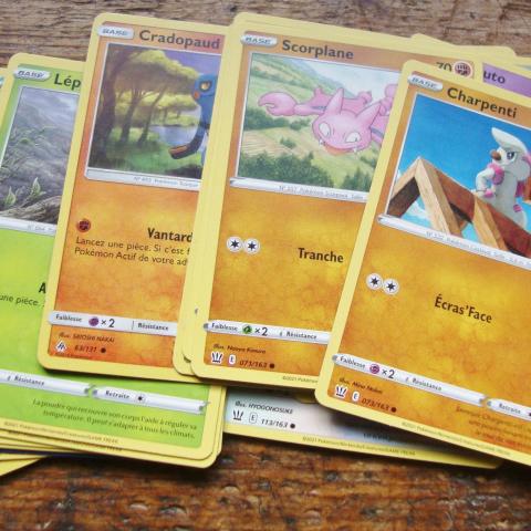 troc de  Echange cartes Pokemon contre carte Micro sd 4 ou 6 gb., sur mytroc