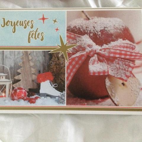 troc de  Carte de voeux "Joyeuses fêtes" et son enveloppe colorée rouge, sur mytroc