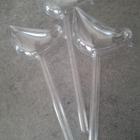 troc de  Reserve eau plante, sur mytroc