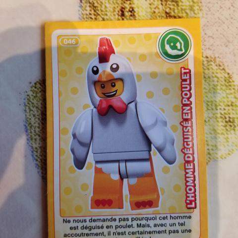 troc de  Carte lego auchan 046, sur mytroc