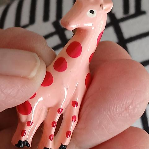 troc de  Une Broche Mixte, sur mytroc