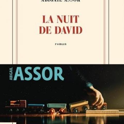 troc de  Recherche le livre " La nuit de David " de Abigail Assor, sur mytroc