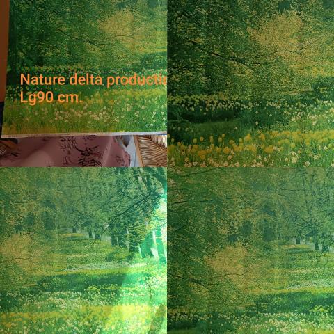 troc de  Affiche Nature verte, sur mytroc