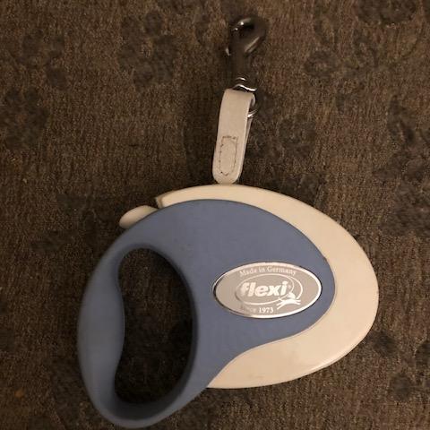 troc de  Laisse rétractable Flexi petit chien, sur mytroc