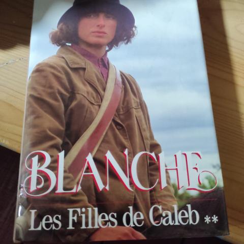 troc de  livre les filles de Caleb, Blanche, sur mytroc