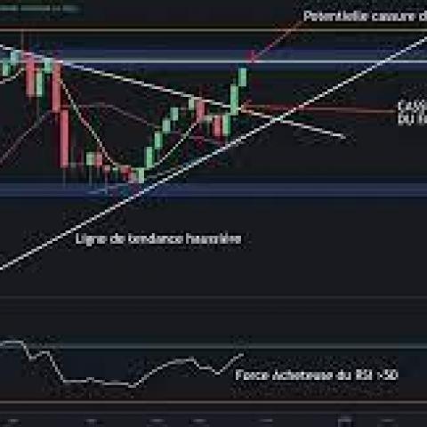 troc de  Avis aux amoureux du trading - je forme et je désire un contrat q, sur mytroc